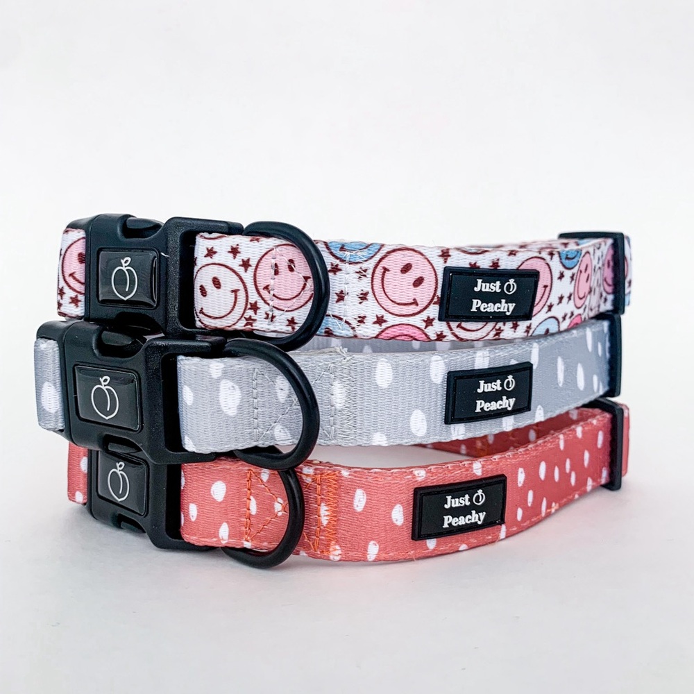 Dog Collar + Leash Bundle